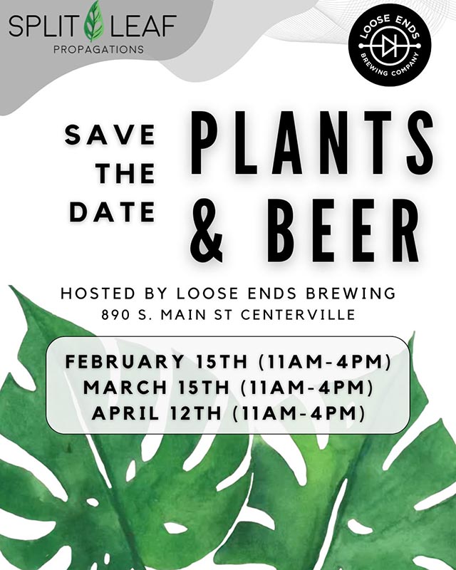 Plants & Beer – Feb. 15